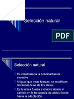 Selección Natural