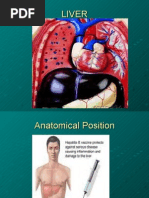 Download Viral hepatitis by GAURAV SN26978653 doc pdf