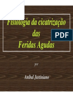 Cicatrização