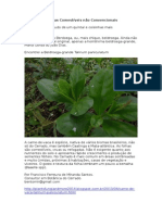 Plantas Comestíveis Não Convencionais