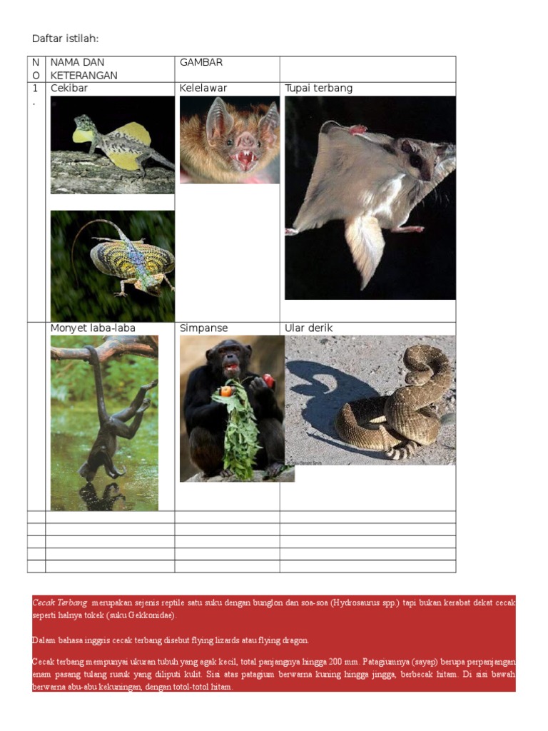 Daftar Istilah Di Sain Level 1