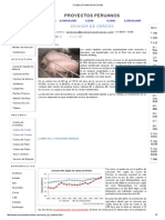 Crianza y Producción de Cerdos
