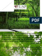 Bosques y Representaciones