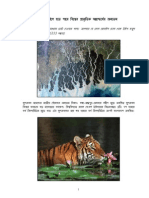 Vote For The Sundarbans