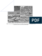 Optical Micrographs Through Welded Section After PWHT (B39)