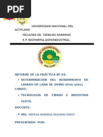 2-INFORME-DE-FIBRAS