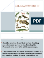 TERRESTRIAL ADAPTATIONS IN Reptiles.pptx  publish.pptx