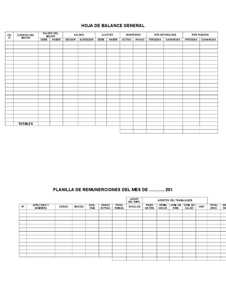 Formato de Hoja de Balance General | PDF | Corporaciones | Contabilidad