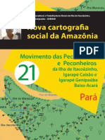 Movimento Das Peconheiras e Peconheiros