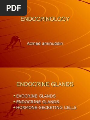 Endocrinology Hormone Insulin