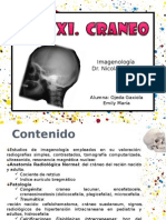 Cráneo RX