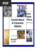 Fraturamento Lenep Engep 2010 Pedroso