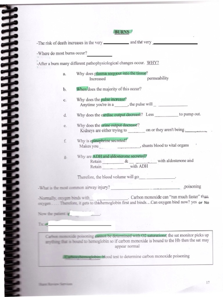 Hurst Review Burns PDF