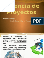 Gerencia de Proyectos