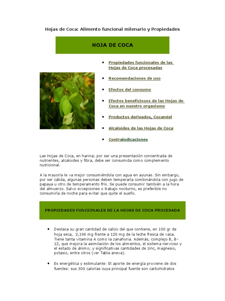 Hojas de Coca Alimento Funcional Milenario y Propiedades PDF