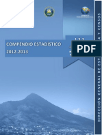 Compendio Estadistico 2012 2013