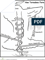 Tornado Forms