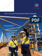 Chevron CR Report 2014