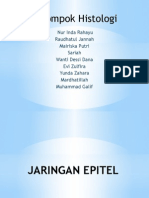 Jaringan Epitel