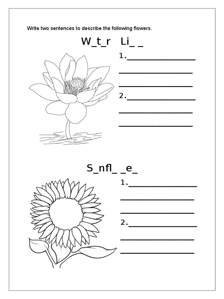 Flower Descriptions Template | PDF