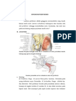 Download SINDROM PIRIFORMIS by Mega Sii Biipzz SN269878994 doc pdf