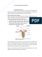 Prostho