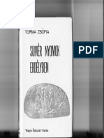 Torma Zsófia Sumér Nyomok Erdélyben 1 PDF