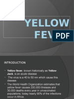 Yellow Fever