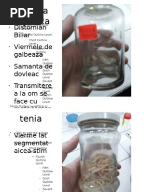 Macroscopic  PDF  Parasites  Veterinary Medicine