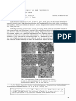 Effect of Heat Treatment on the Properties