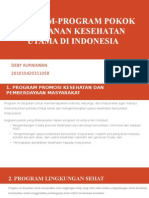 Program-Program Pokok Pelayanan Kesehatan Utama Di Indonesia