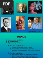 El Aprendizaje cognoscitivo 0101