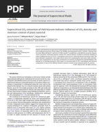 Supercritical CO2 Extraction of Helichrysum Italicum