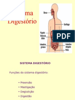 sistemadigestorio.ppt