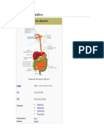Aparato digestivo