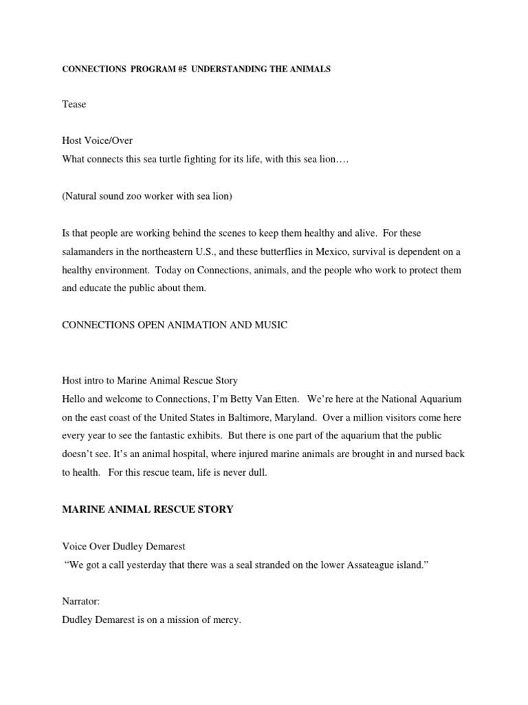 Connections Program #5 Understanding The Animals: Marine Animal Rescue ...