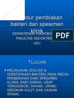 Prosedur Pembiakan Bakteri Dari Spesimen Klinik