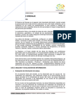 Informe de Drenaje PDF