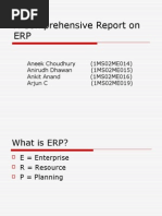 A Comprehensive Report On ERP