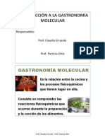 Taller Introduccion a La Gastronomia Molecular