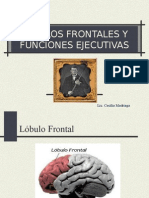 Funciones ejecutivas del lóbulo frontal
