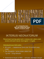 IKTERUS NEONATORUM