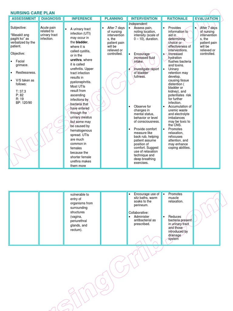 Nursing Care Plan Uti Urinary Tract Infection