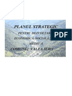 Plan Strategic Valea Ierii