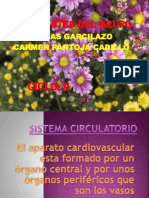 Sistema Circulatorio PDF