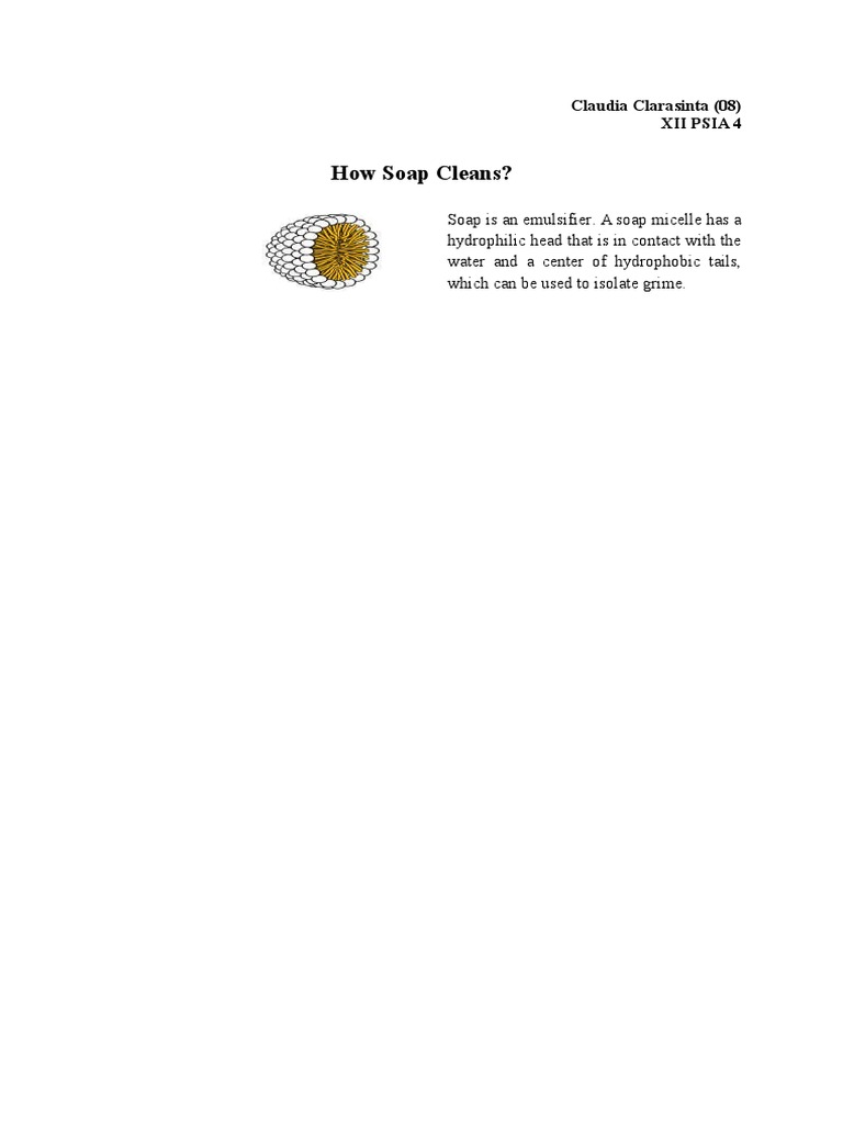 How Soap Cleans | PDF | Soap | Solubility