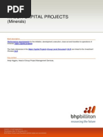 BHP Risk Management Framework Overview | PDF | Risk | Risk Management