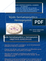 hematopoyesis