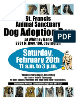St. Francis Animal Sanctuary: Dog Adoption Day