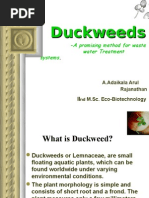 Download Duckweed by Rajanathan SN26997073 doc pdf